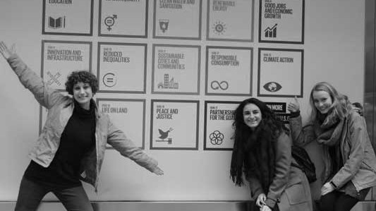 home-ngo-klein Deutsche Model United Nations
